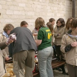 HPIM1695 - Scouts en Gidsen Zaventem 